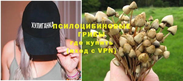 ГАЛЛЮЦИНОГЕННЫЕ ГРИБЫ Балабаново